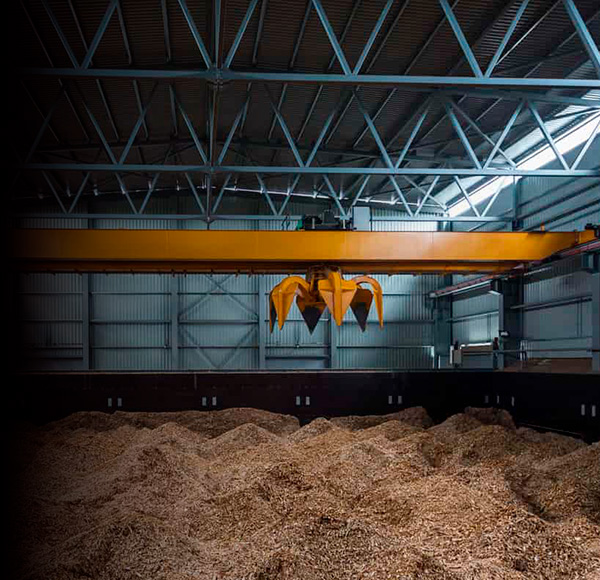 The Bioenergy industry in Catalonia