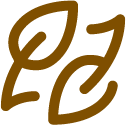 ACCIÓ